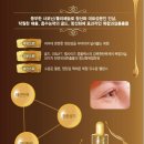 골드 이미지