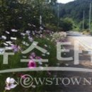 송악면 강당로 이미지