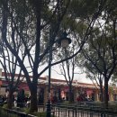 최신영화 브로커 | [상하이] 상하이 디즈니랜드 8FP 티켓 어트랙션 / 낮 퍼레이드 / 주토피아 존 : 트론, 주토피아, 소어링...