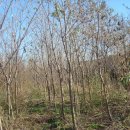 부천농장 이미지