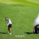 감각적인