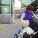 구지재가장기요양센터 이미지