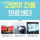 웰튼동물의료센터 이미지