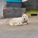 빛가람 주유소 이미지