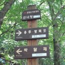청옥