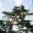 국립칠보산자연휴양림 이미지