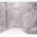 벗길민박 이미지