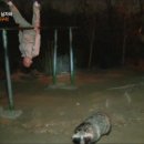 운동메이트 이미지