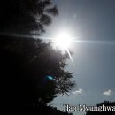 어머니의 방 - 시 이미지