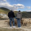 청룡목장 이미지