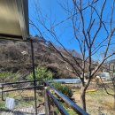 스테이옥정 이미지