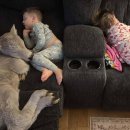 송아지집 이미지