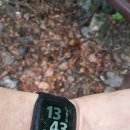 용현1교 이미지