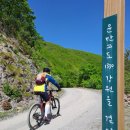 해밀온욕센터 | 초록 양탄자를 덮고 뿜어내는 향긋한 숲의 숨결을 세포 하나하나에 물들이다_운탄고도 라이딩