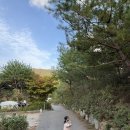 에코유 캠핑장 | 경기도 키즈캠핑장 에코유 할로윈캠핑 : B사이트 후기 예약하는법