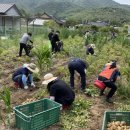 부산면 행정복지센터 이미지
