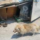 Dr.주 동물병원 이미지