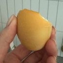 함지쌈밥 | 食傷