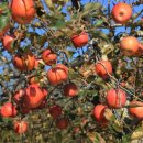 반딧불마트 이미지