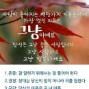 11월22일 고발뉴스 이미지