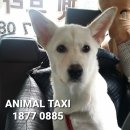 GS25청주수곡점 이미지