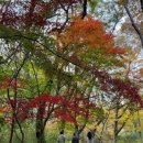 호텔 쁠랑(충주시청점) 네이버블로그