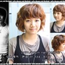 호림디자인 Daum카페
