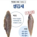 생선인 서대와 박대의 차이 이미지