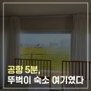제주사랑펜션민박 | 사랑터울펜션 제주공항숙소 감성펜션 후기, 뚜벅이 여행 숙소 추천 / 서이추 환영