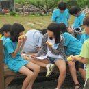 금천구 시흥5동 주민센터 이미지