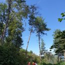 강원한우체험농장 이미지