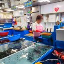 정말조은마켓 이미지