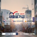 새출발 티스토리
