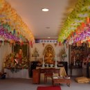 진행정사 이미지