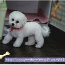 베니펫살롱 이미지