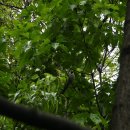 은평-020 이미지