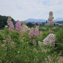 오금상촌공원 화장실 이미지