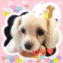 포포앤미루 강동점 이미지