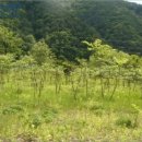 지촌초등학교지암분교장 이미지