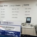 알파문구카피