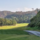 소피아그린 이미지