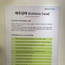 아하카페