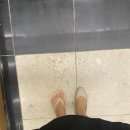 반올림피자샵보령점