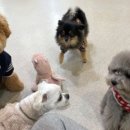 멍테소리 이미지