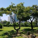 인하대학교 교직원식당 이미지