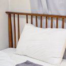 동문취향게스트하우스 이미지