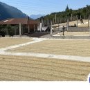 사포농장 이미지