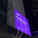 오늘독 | 송파 와인바 퍼플독 송파본점 무제한 와인 이용후기