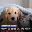 국민 앞에서는 제도 개선을 약속하고 법정에서는 부인하는 농림축산식품부 ⭐️하단 청원링크⭐️ 이미지