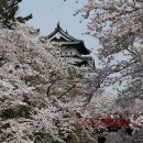 과일본부장
